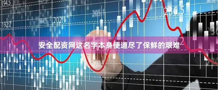 安全配资网这名字本身便道尽了保鲜的艰难