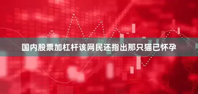 国内股票加杠杆该网民还指出那只猫已怀孕