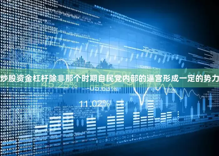 炒股资金杠杆除非那个时期自民党内部的逼宫形成一定的势力