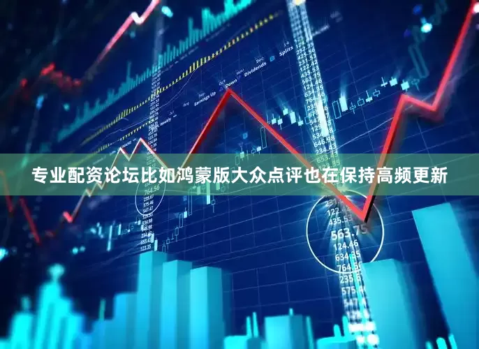 专业配资论坛比如鸿蒙版大众点评也在保持高频更新